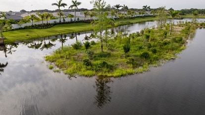 Creating Bird Rookeries 1